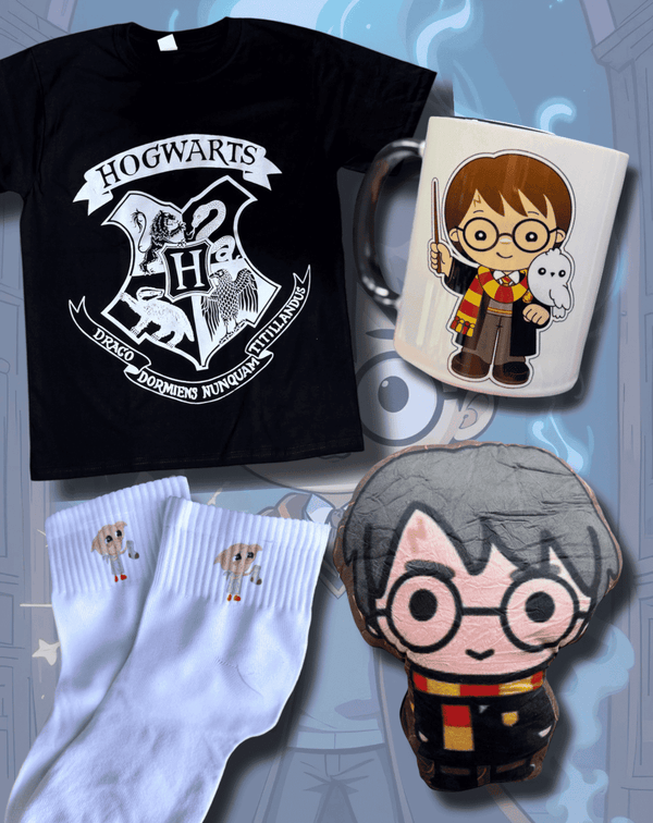 COMBO HARRY POTTER