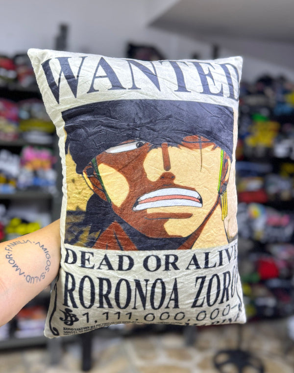 COJÍN ZORO SE BUSCA